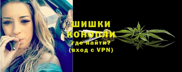 метадон Ладушкин