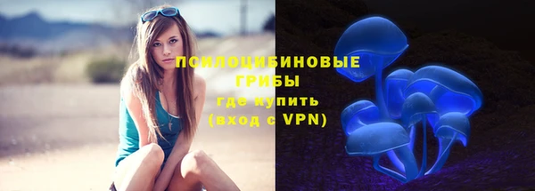сатива Липки