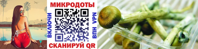 Галлюциногенные грибы MAGIC MUSHROOMS  Алексин 
