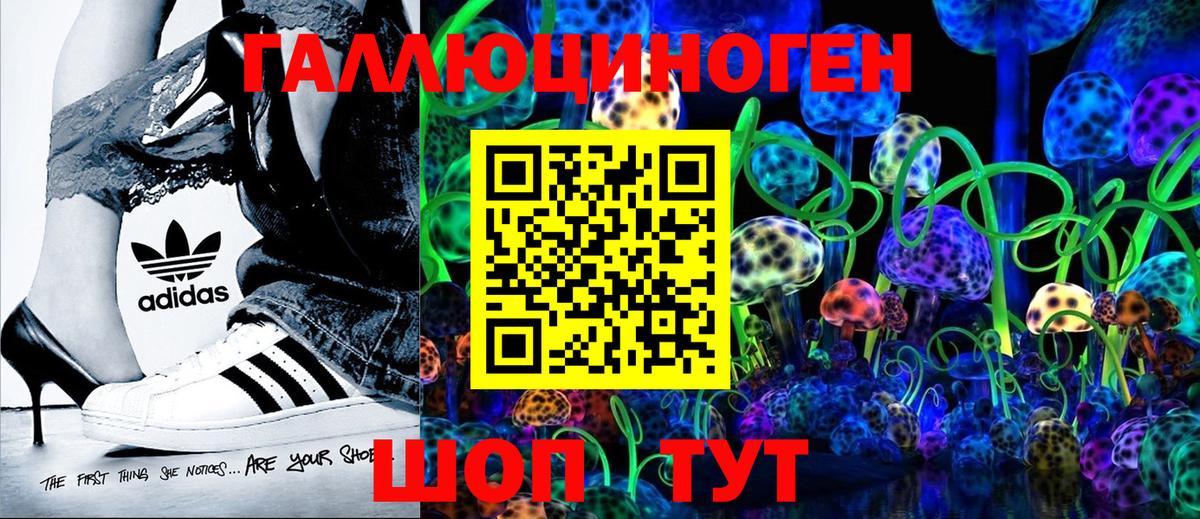 продажа наркотиков  Псилоцибиновые грибы мицелий  Алексин  Псилоцибиновые грибы ЛСД 