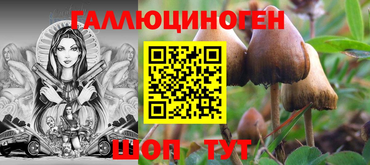 Алексин  Alpha PVP СК   Конопля  Кокаин  Меф МЯУ МЯУ   Меф кристаллы  ГАШИШ 