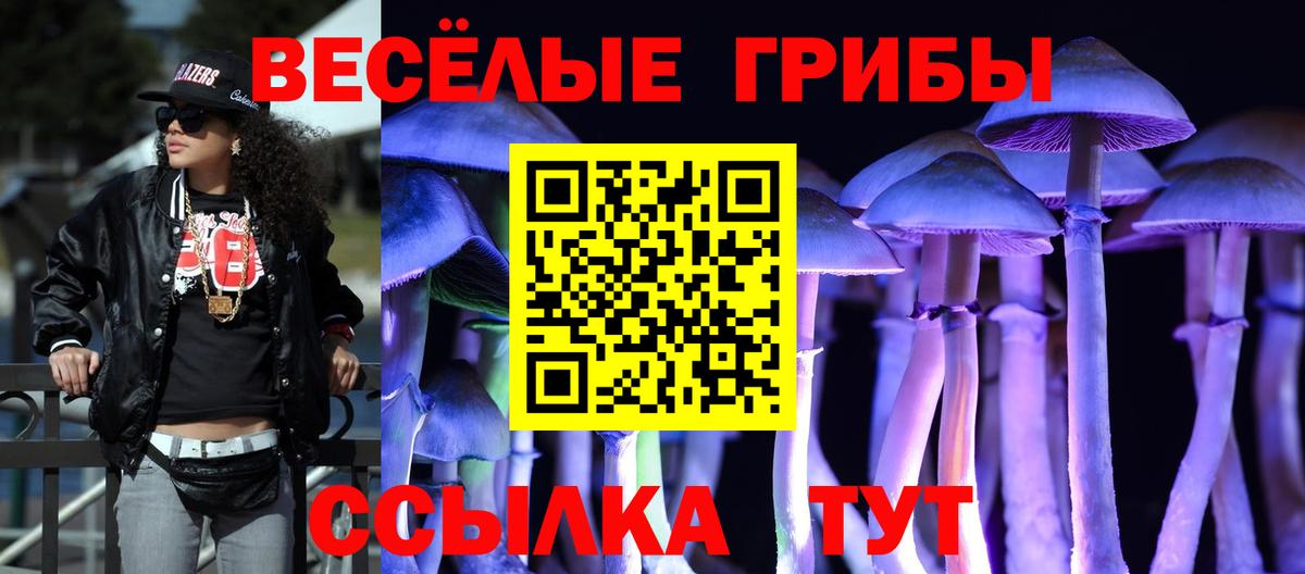 Псилоцибиновые грибы прущие грибы Алексин